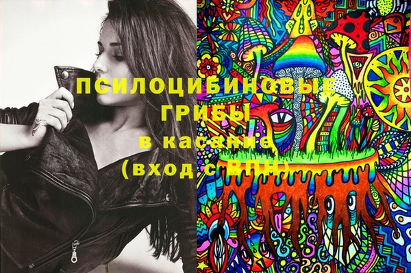 круглые Абаза