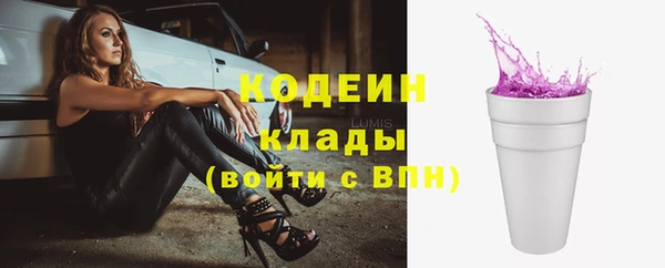 крисы Пестово