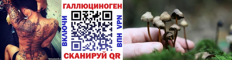 KRAKEN рабочий сайт  Тайга  Псилоцибиновые грибы ЛСД 